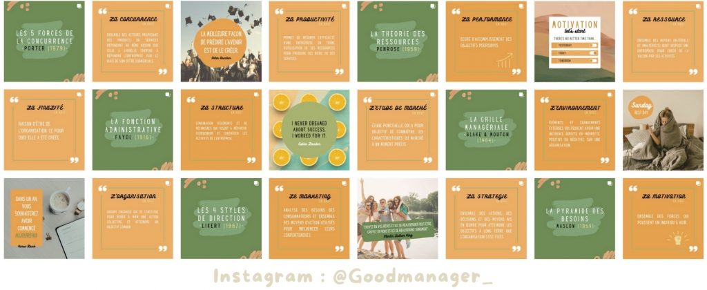 compte instagram FICHES NOTIONS THEORIES MANAGEMENT THEORIE DES ORGANISATIONS